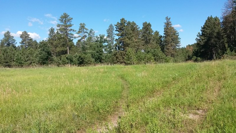 The singletrack trail you want to take just past the boulders at the parking area is sometimes difficult to see especially in the summer when the grass is tall.  The singletrack trail veers off to the left.