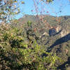 View off the trail looking north towards Mt. Wilson.  The domes from the telescopes are barely visible on the ridge if you look closely.