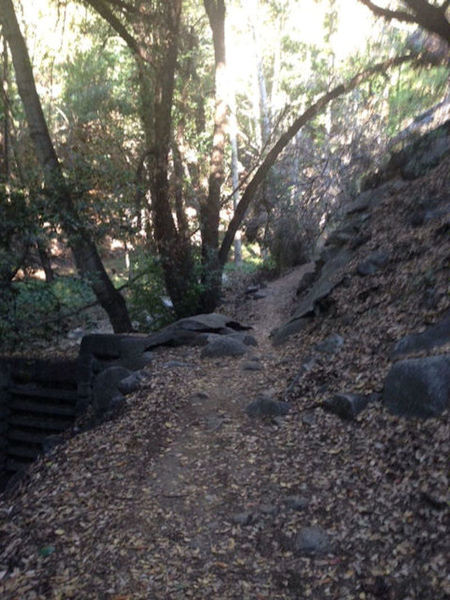 Smooth section of trail along the Lower Winter Creek Trail section of the ride below Hoegee's Camp.  More extensive technical sections are found in the canyon bottom due to the rocks, creek crossings, and switchbacks.