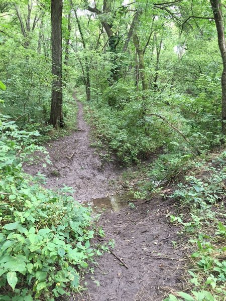 Creek Crossing.  I recommend riding it from north to south due to climb up one side is steeper than it should be.