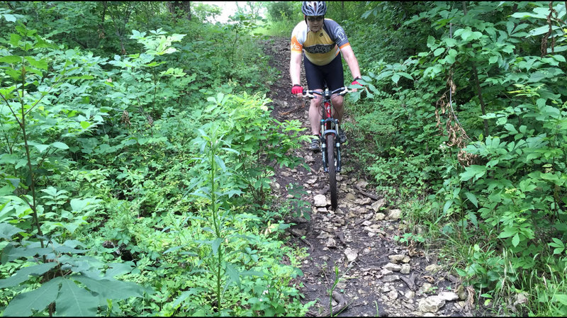 One of the features on this trail.  There are two or three bridges over creek crossings too.