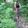 One of the features on this trail.  There are two or three bridges over creek crossings too.