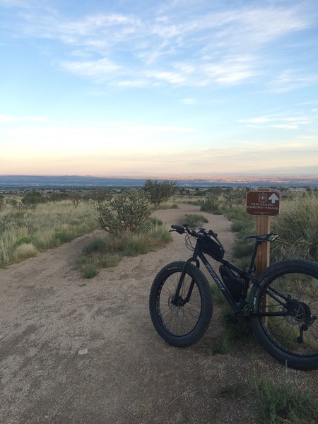 Looking back over Albuquerque.