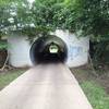Tunnel that allows access to the paths and trails