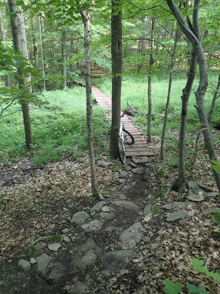 The red boardwalk bridge, at the bottom of the Brown Trail.