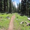 First part of Reno Ridge heading to Deadmans Gulch jct.