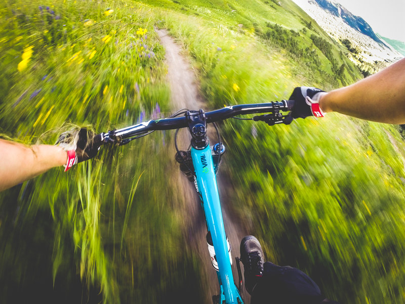 Bars-deep in wildflowers on Crested Butte's 401 Trail.