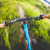 Bars-deep in wildflowers on Crested Butte's 401 Trail.