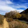 Golden autumn day