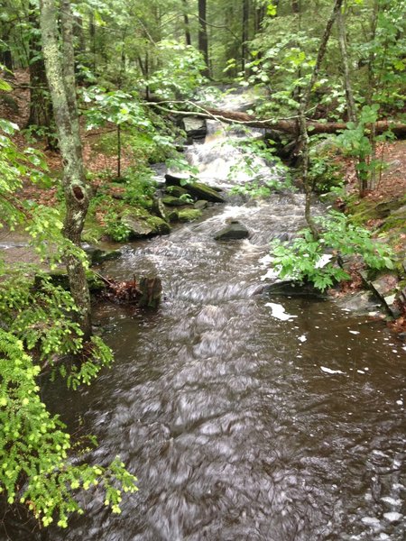 Beautiful little waterfall all walkers and hikers can catch a glimpse of!