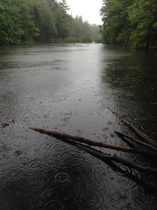 Right after the waterfall is some protected pond that has some wildlife in it!