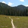 Amazing meadow on the North Fork of Kennaly Creek