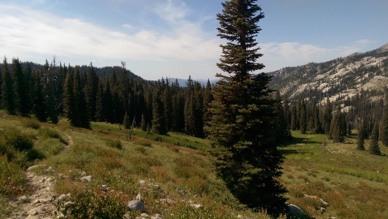 Looking back towards Boulder Creek