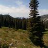 Looking back towards Boulder Creek