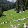 Looking down to where trail dives into woods.