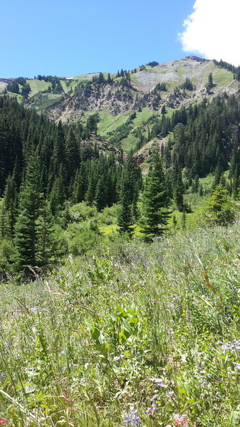 Turn around point at backcountry campsite.