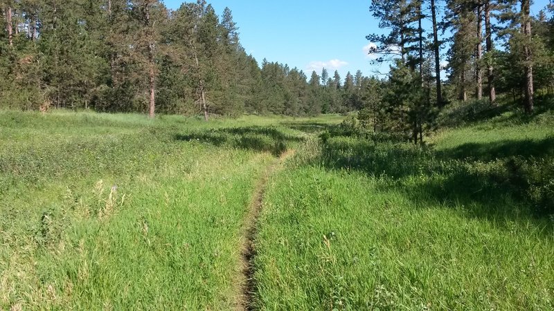 Beginning of the narrow meadow.  When you get towards the end of the meadow take a left to head south west.