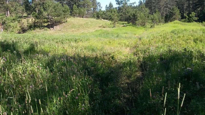 This is at the end of the meadow where you need to take the left fork.  If you take the right fork you'll head towards the trail known as Victoria's Secret.