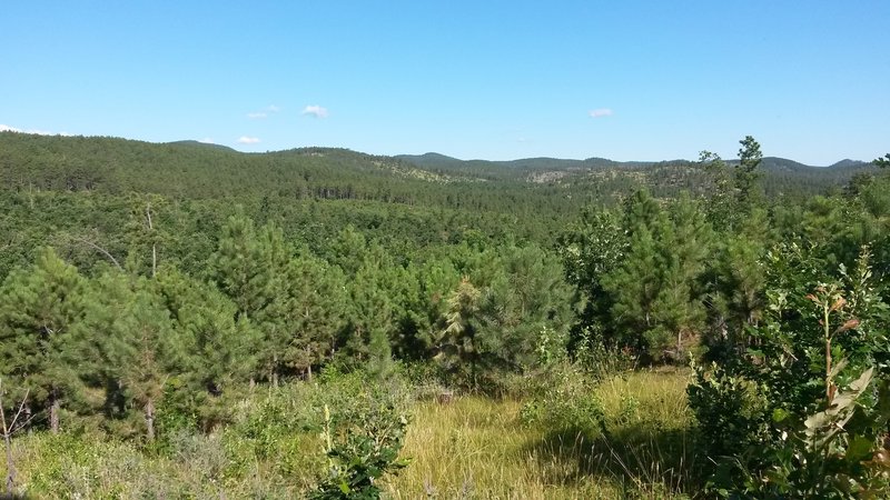 View of the Black Hills from the trail.  Getting close to the start of the head of the lollipop.