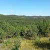 View of the Black Hills from the trail.  Getting close to the start of the head of the lollipop.