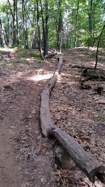 Long narrow log ride with incline.