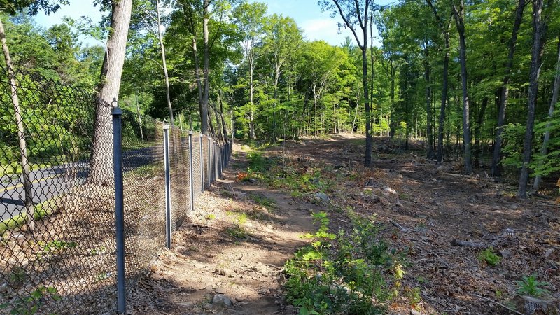 Start of the fence line trail. The MDC had been doing a lot of clearing in 2015.