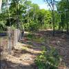 Start of the fence line trail. The MDC had been doing a lot of clearing in 2015.