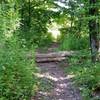 The one obstacle on the Fence Line Trail.