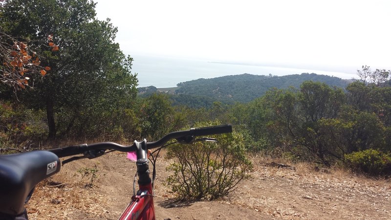 Looking at the bay. Shoreline trail