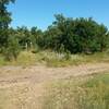 Cross the dirt logging road and follow the trail past the "no motorized vehicles" sign into the trees.