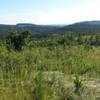 Scenery of the Black Hills from the trail.