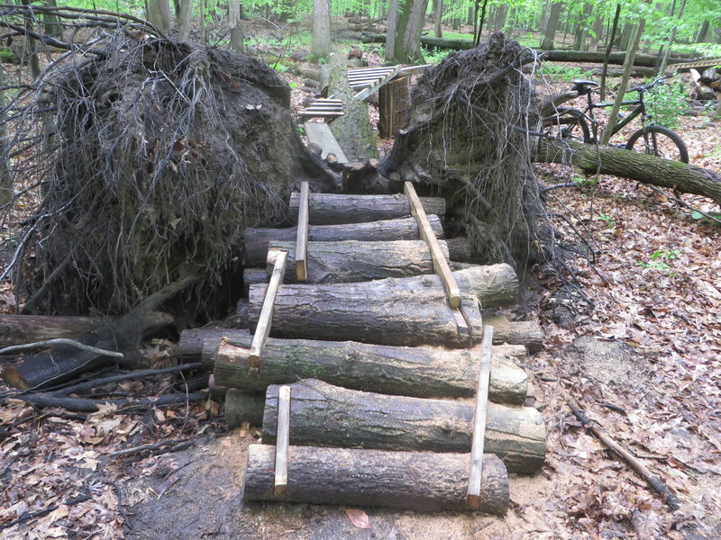 The exit of The Mambo King, a stunt on Hansen's Be-Bop. Note the advanced bit a foot on the other side of the top log in the logpile exit. It is easier to ride than it looks, but this is definitely an advanced stunt (for this part of the country).