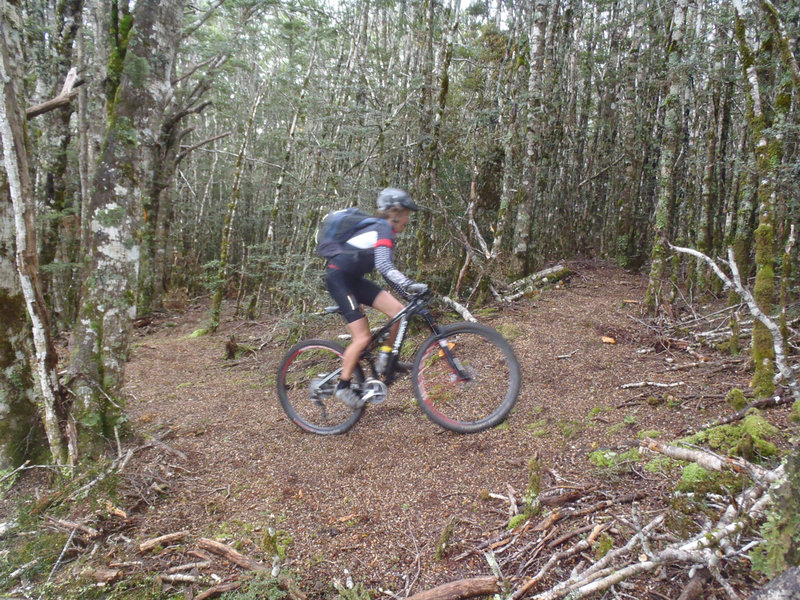 Climbing the first switchbacks