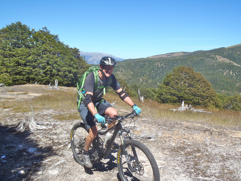 Riding through the clearings on Maitland Ridge Track