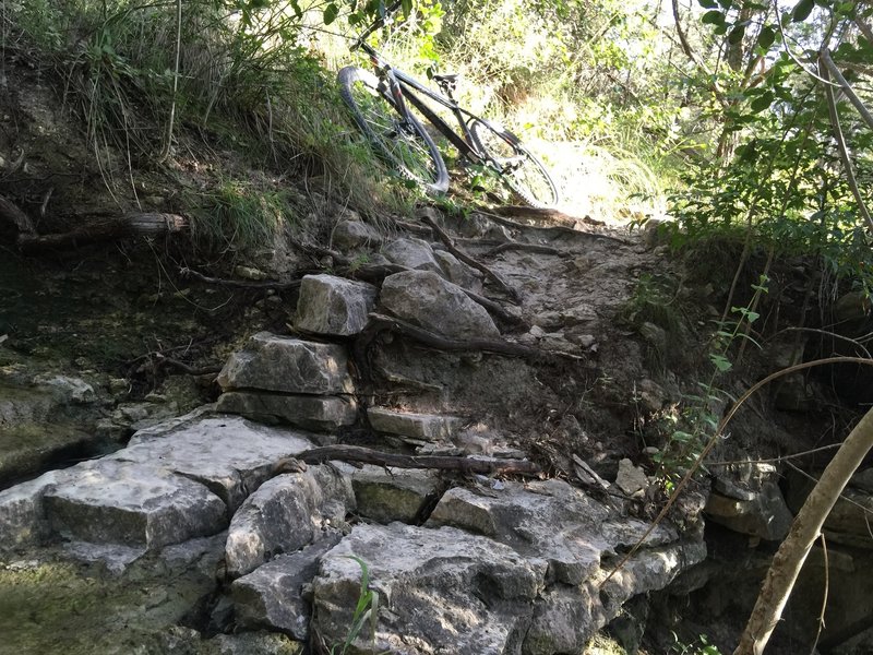 A spring crossing on a hillside.