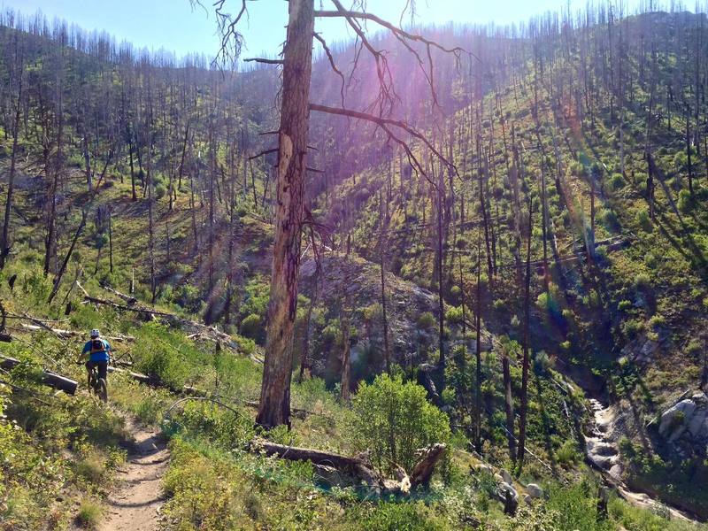 Climbing up Peace Creek