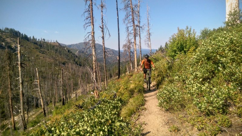 Climbing up Peace Creek