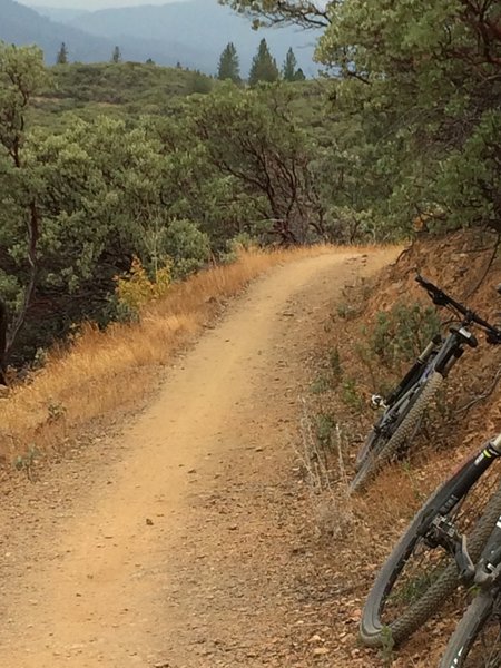 Typical FB Trail views through Manzanita groves.