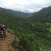 Riding up Hummingbird, Hunter Creek Trail down in the grassy meadow below.  Thimble Rock in the distance.