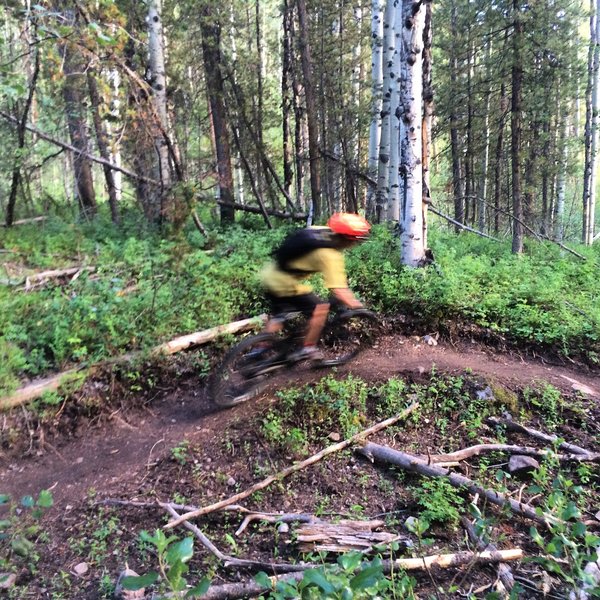 Cruising through one of the gully berms on the new Lollipop Trail extension.