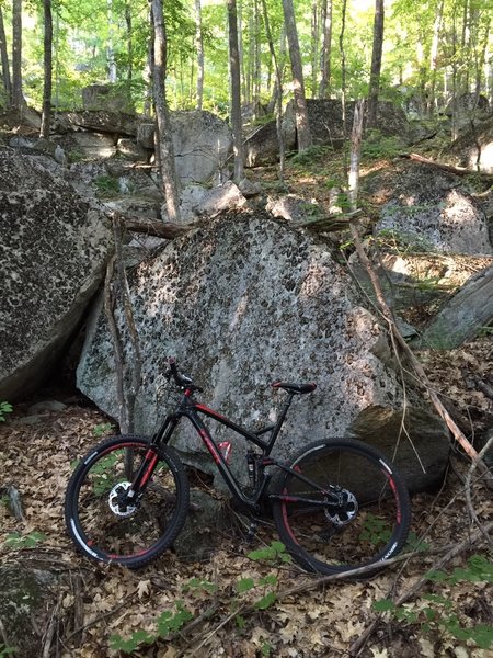 Cool boulder field off the side of Hedgehog Ledge. Feels Jurassic.