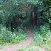 Singletrack entrance off of old Point Douglas Rd