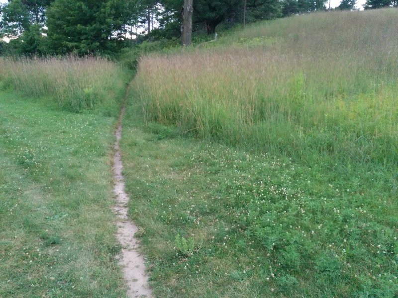 Start of the entrance trail from the community center