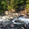 Presumpscot River Rapids - Watch for Osprey!!!