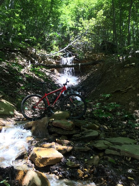 Waterfall right before Froggie Bottoms Portion of the trail on the blue loop