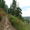 Excellent views of Park City from Sweeney's.