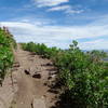 Fun little rock garden on part of Mid Mountain. You also can find some pretty great views of Park City from right here.