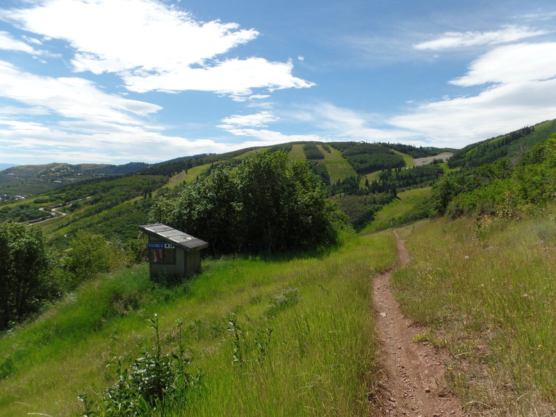 A fast and flowy section of CMG on your way down towards the base of Park City.