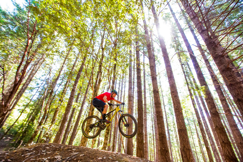 Take a detour on the Tolkan Bike Park jumps near the campground along the Paradise Royale trail.