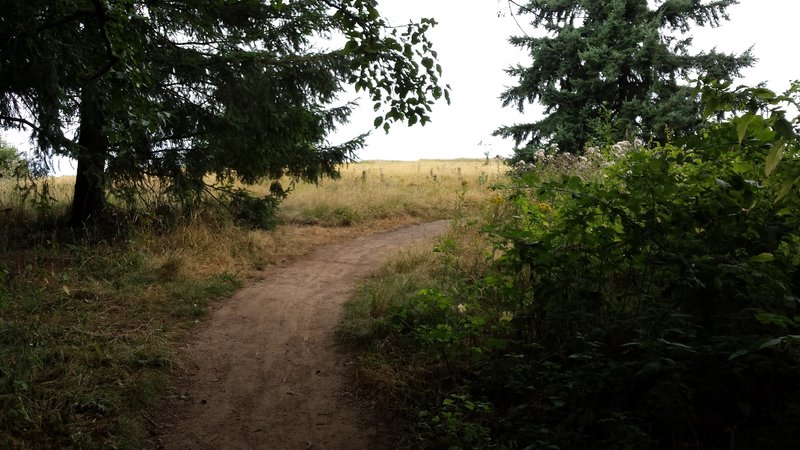 Looking out towards the open prairie on the South Trail